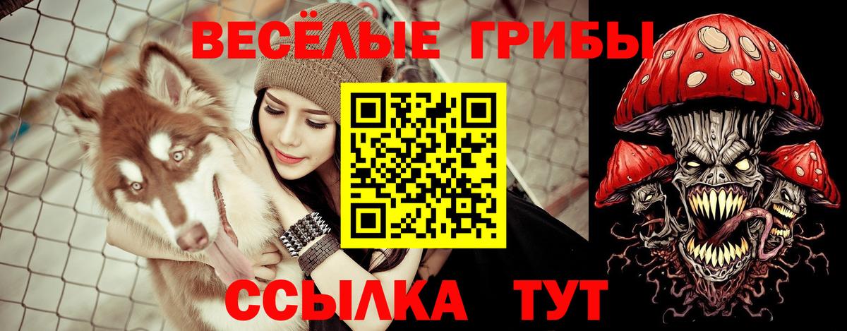 Сертолово  Галлюциногенные грибы прущие грибы  Вход с VPN 